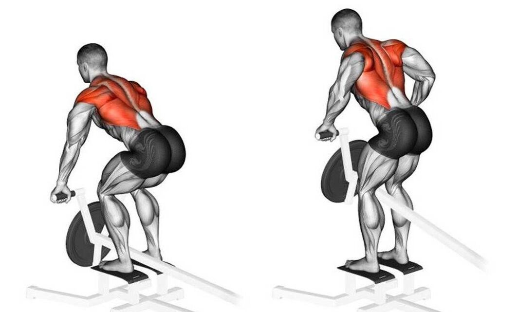 workout to strengthen back muscles