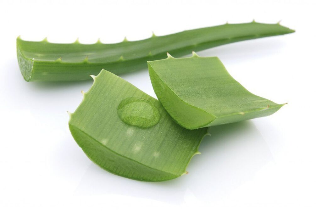 aloe vera for the treatment of thoracic osteochondrosis